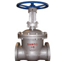 China made low price flange type marine stainless steel gate valve pn25